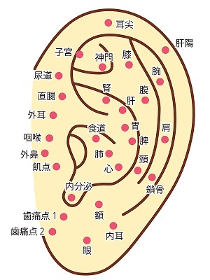 初体験